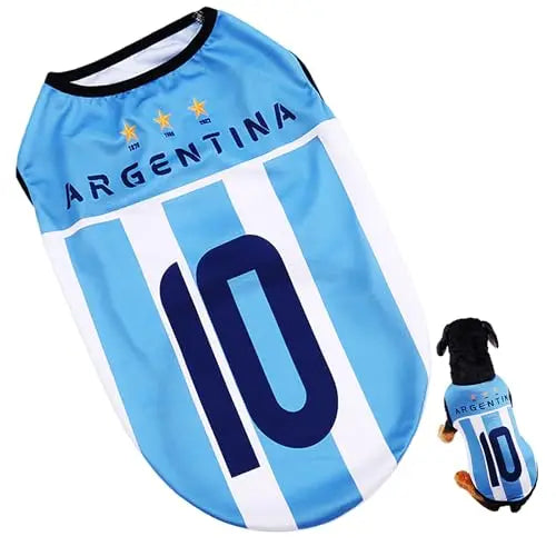 Argentina Soccer Jersey